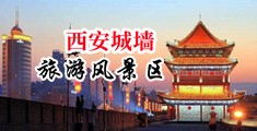 掰开熟妇小穴中国陕西-西安城墙旅游风景区
